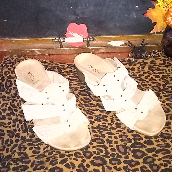 Used Vionic Sandals